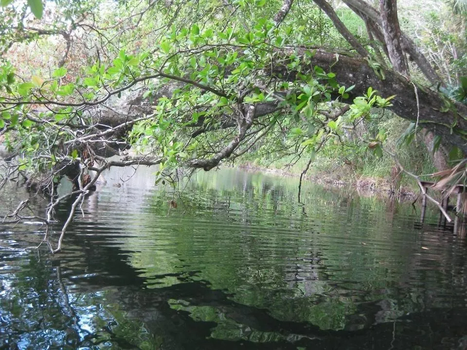 Cabanas Ecologicas Tumben Ha Villa Chetumal